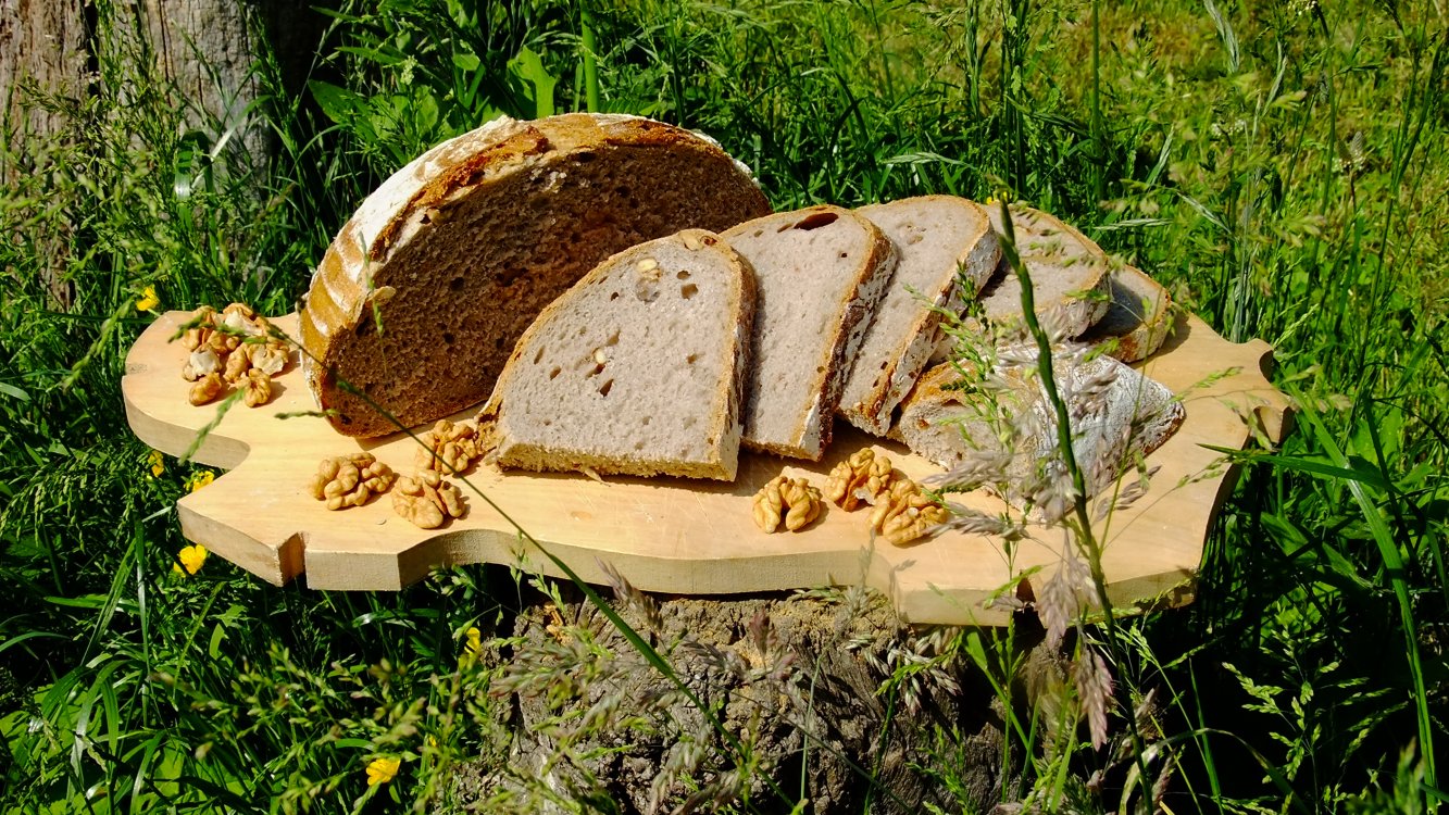Podmáslový kváskový chléb s vlašskými ořechy